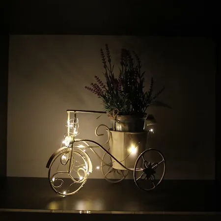 Vicyclette Dedicated For Families And Friends *